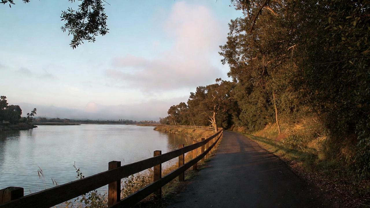 A calm morning scene along the Napa River Trail with a walking path beside the river, showing gentle movement and reflection during a Napa Valley trip.