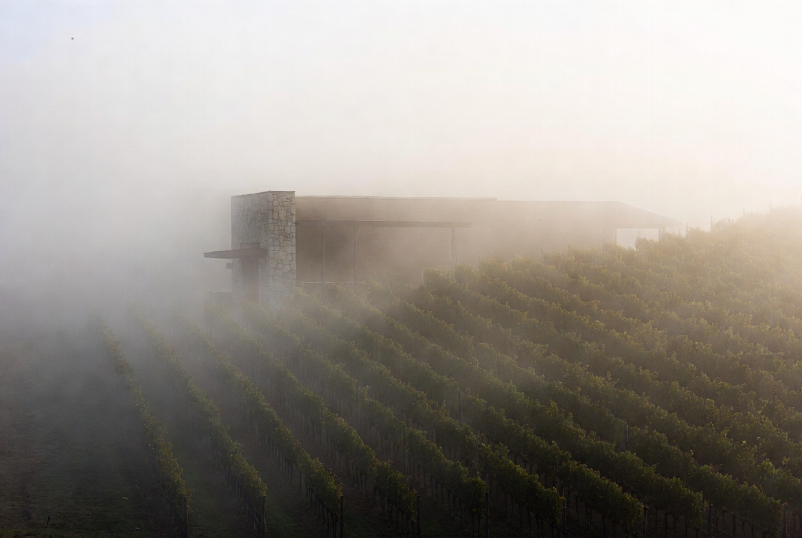 Early morning fog lifts around a Napa Valley winery built from stone and concrete, with vineyard rows leading toward the structure as soft light reveals texture, proportion, and land-driven design.