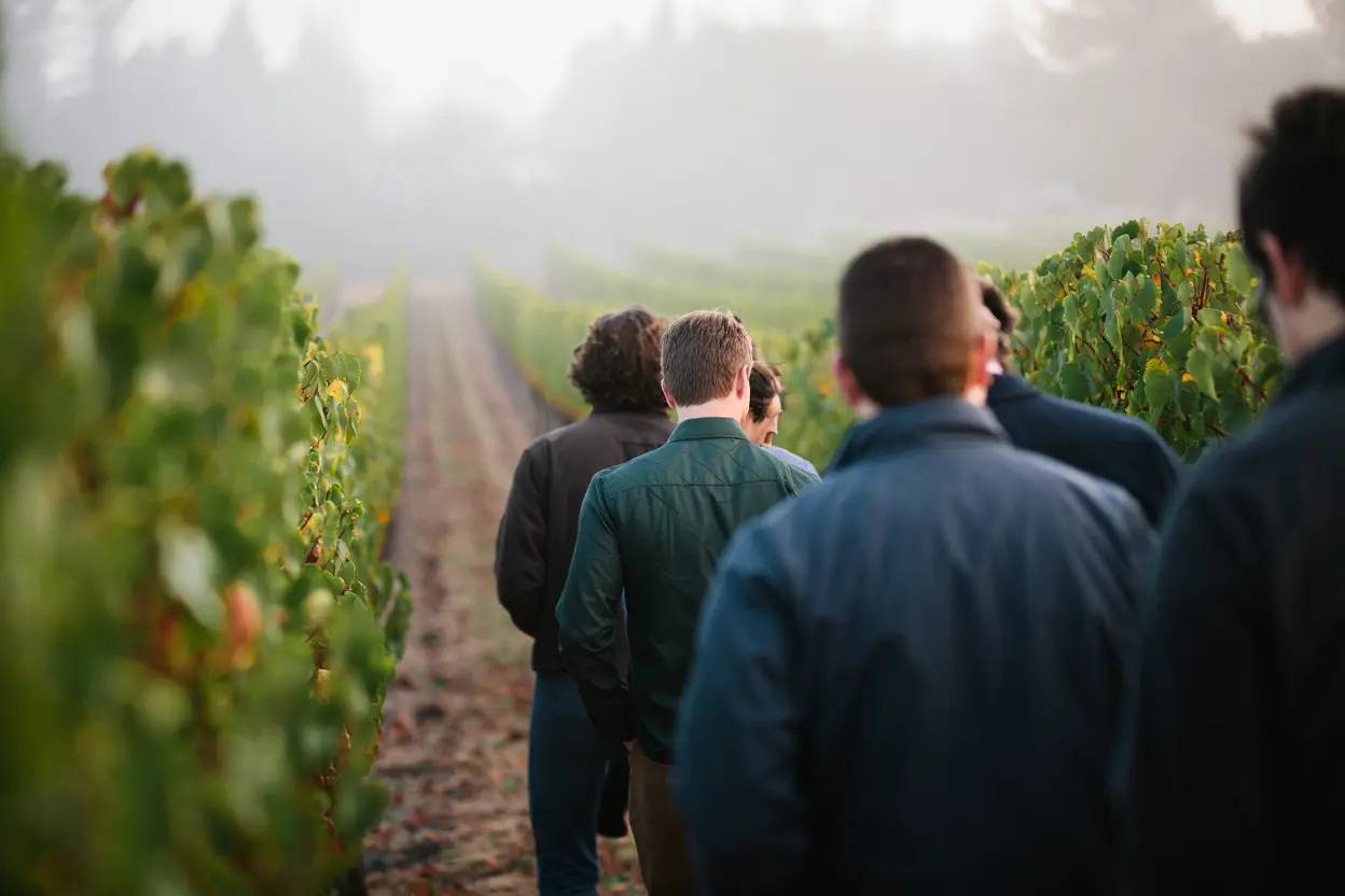 Founders walking together through Napa Valley vineyards in the early morning fog during a quiet offsite focused on reflection and alignment.