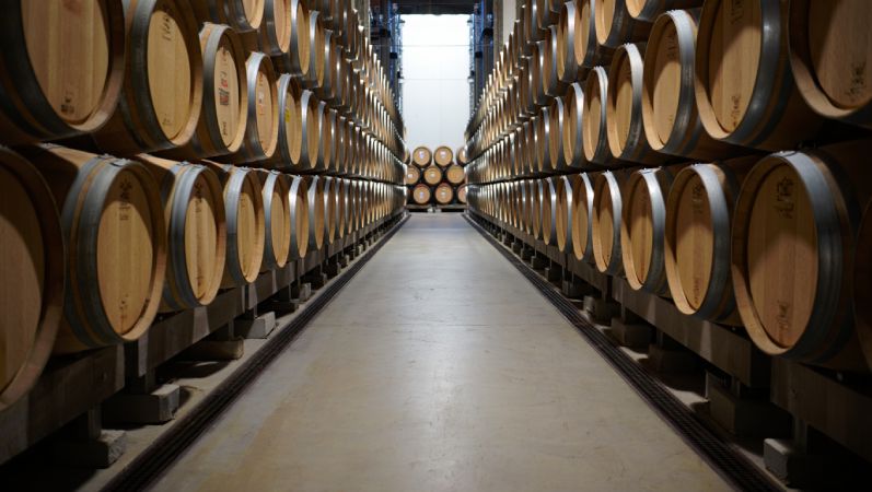 Winery cellar in Napa Valley designed for gravity flow and efficient production, highlighting craftsmanship and operational design.