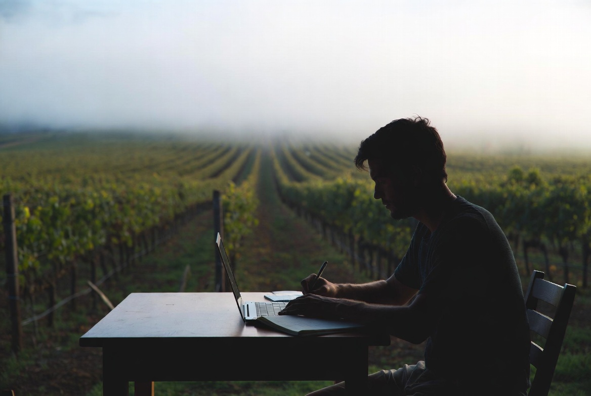 A writer sits quietly at a wooden table in Napa Valley during early morning fog, working on a long-form project with vineyard rows visible in the background.