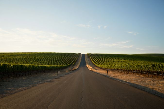 Scenic empty stretch of Silverado Trail in Napa Valley, showing vineyard alignment and elevation, symbolizing clarity, structure, and calm.