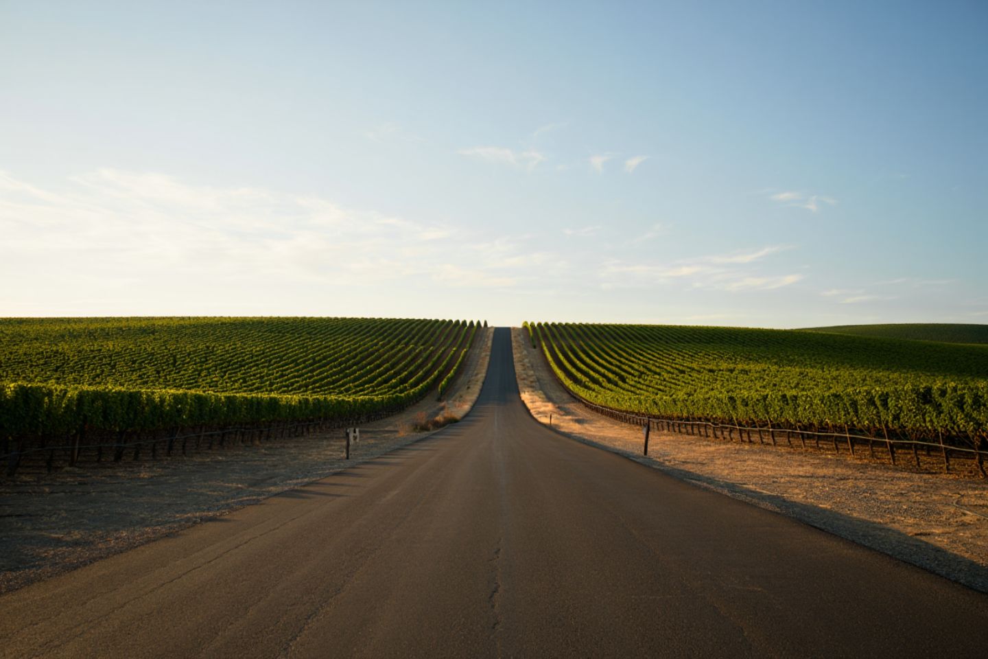 Scenic stretch of Silverado Trail in Napa Valley showing vineyard layout, access roads, and land topography important to builders and operators.
