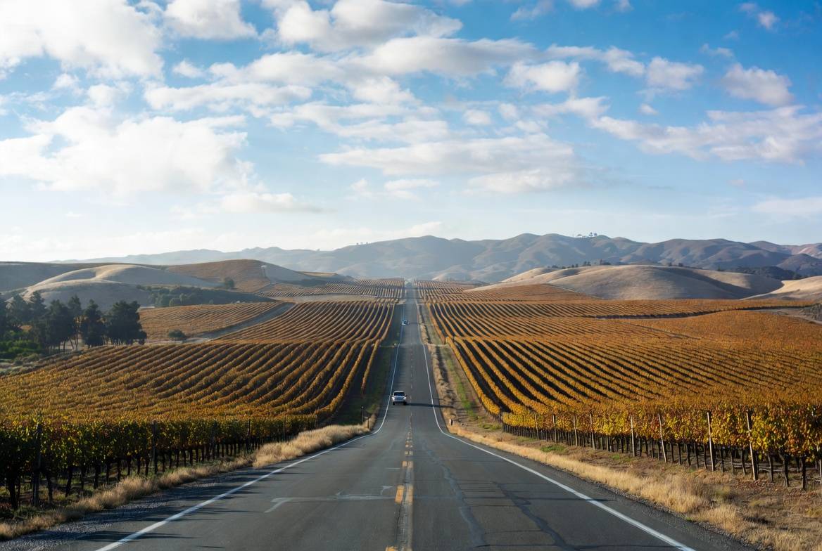 Scenic drive along Silverado Trail in Napa Valley with vineyards and mountains, often chosen for quiet reflection during a family legacy weekend.
