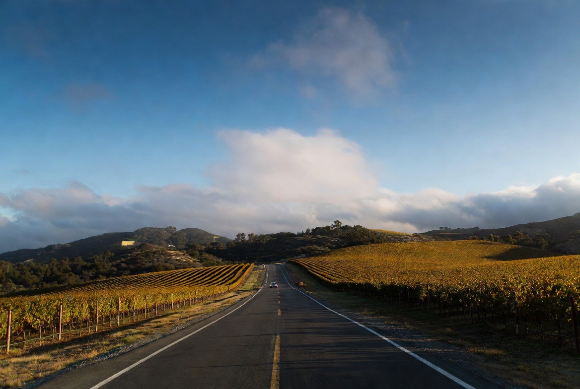 Empty stretch of Silverado Trail in Napa Valley bordered by vineyards, representing a calm, unhurried drive and mental reset