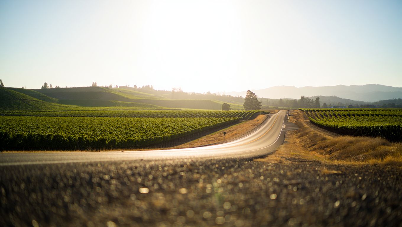 Scenic, empty stretch of Silverado Trail in Napa Valley during golden hour, symbolizing a quiet drive and mental reset.
